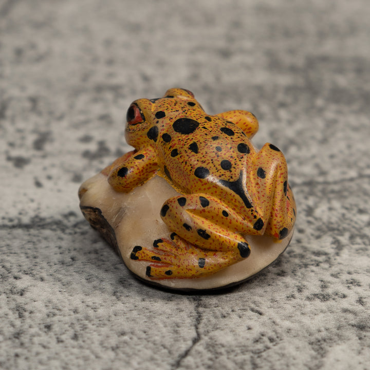 Gold And Black Poison Dart Frog Tagua Carving