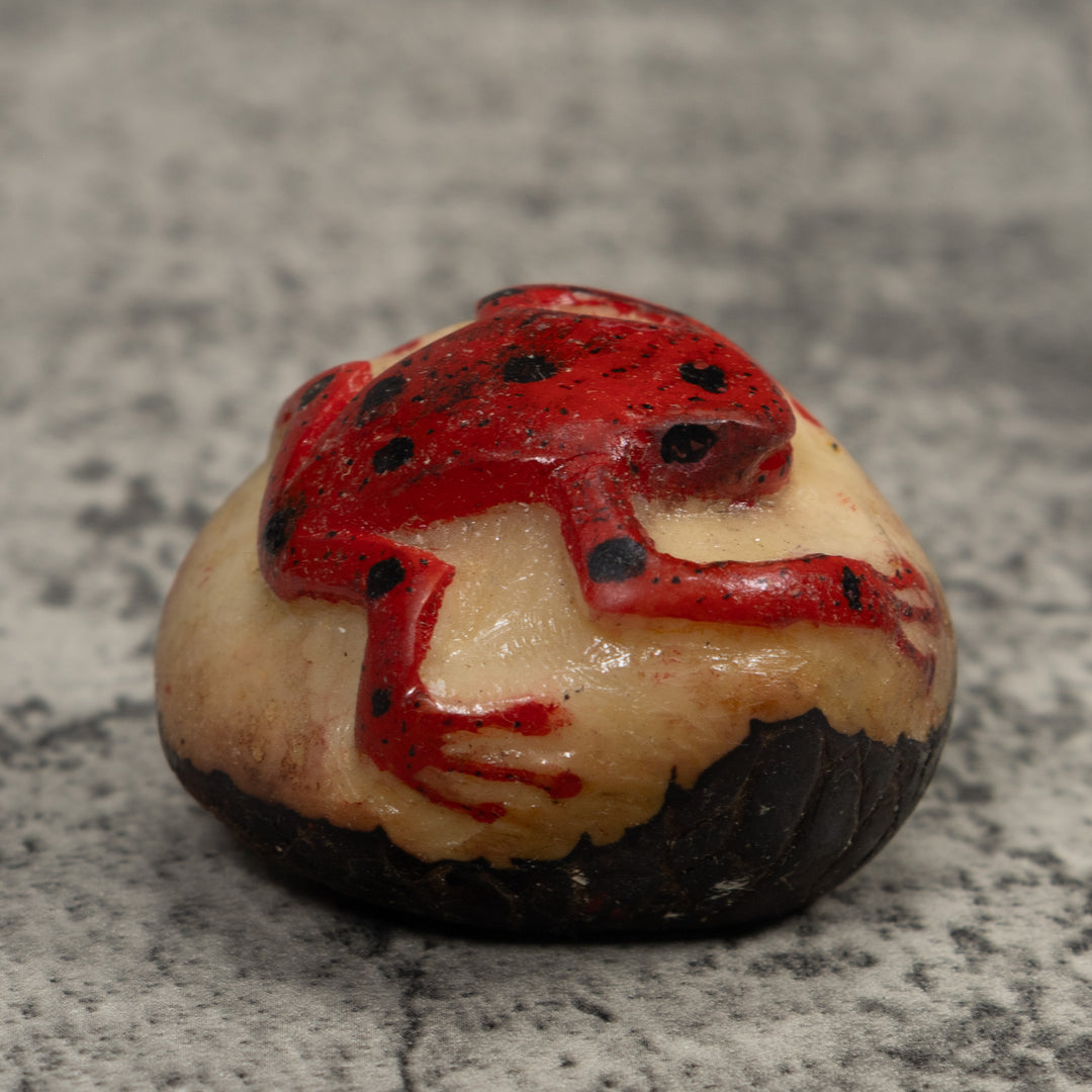 Vintage Red Poison Dart Frog Tagua Carving