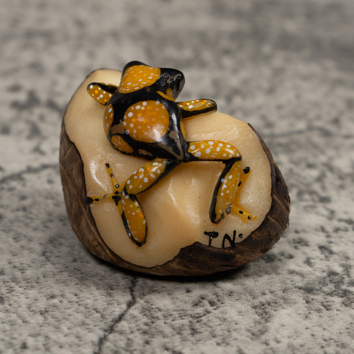 Gold White And Black Frog Tagua Carving