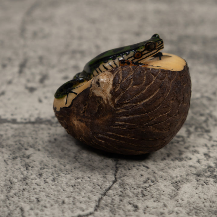 Poison Dart Frog Tagua Carving