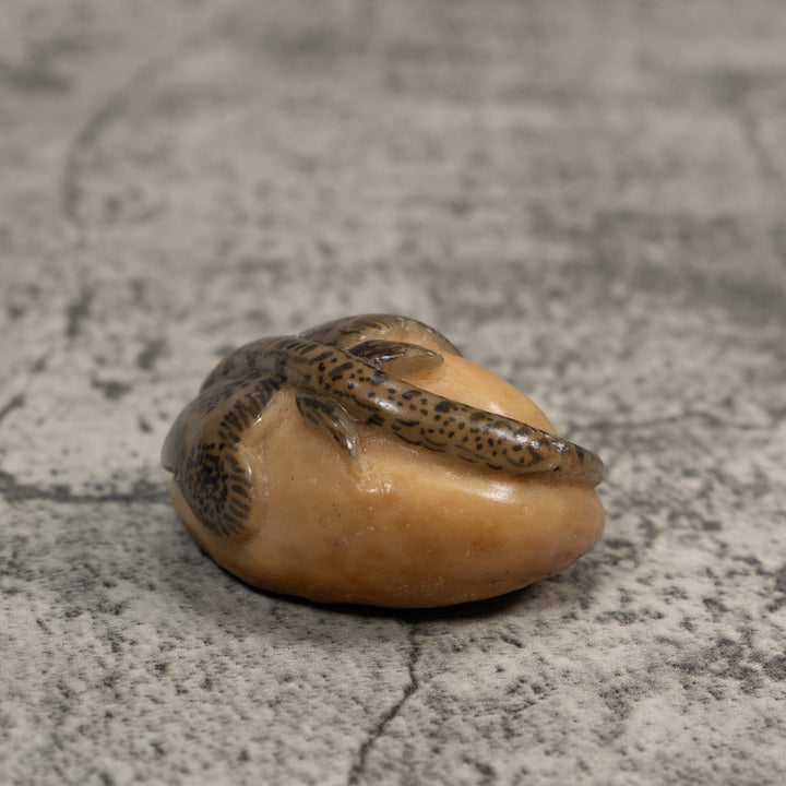 Vintage Stingray Fish Tagua Carving