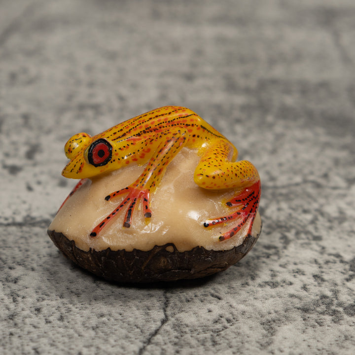 Vintage Gold Red And Black Frog Tagua Carving