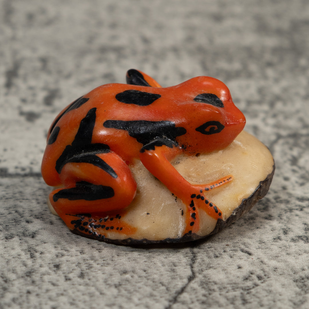 Orange And Black Poison Dart Frog Tagua Carving