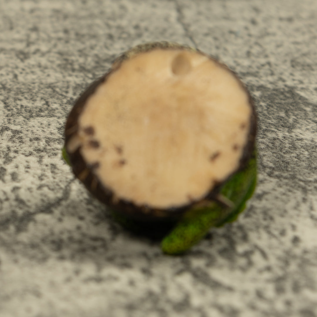 Vintage Iguana Lizard Reptile Tagua Carving