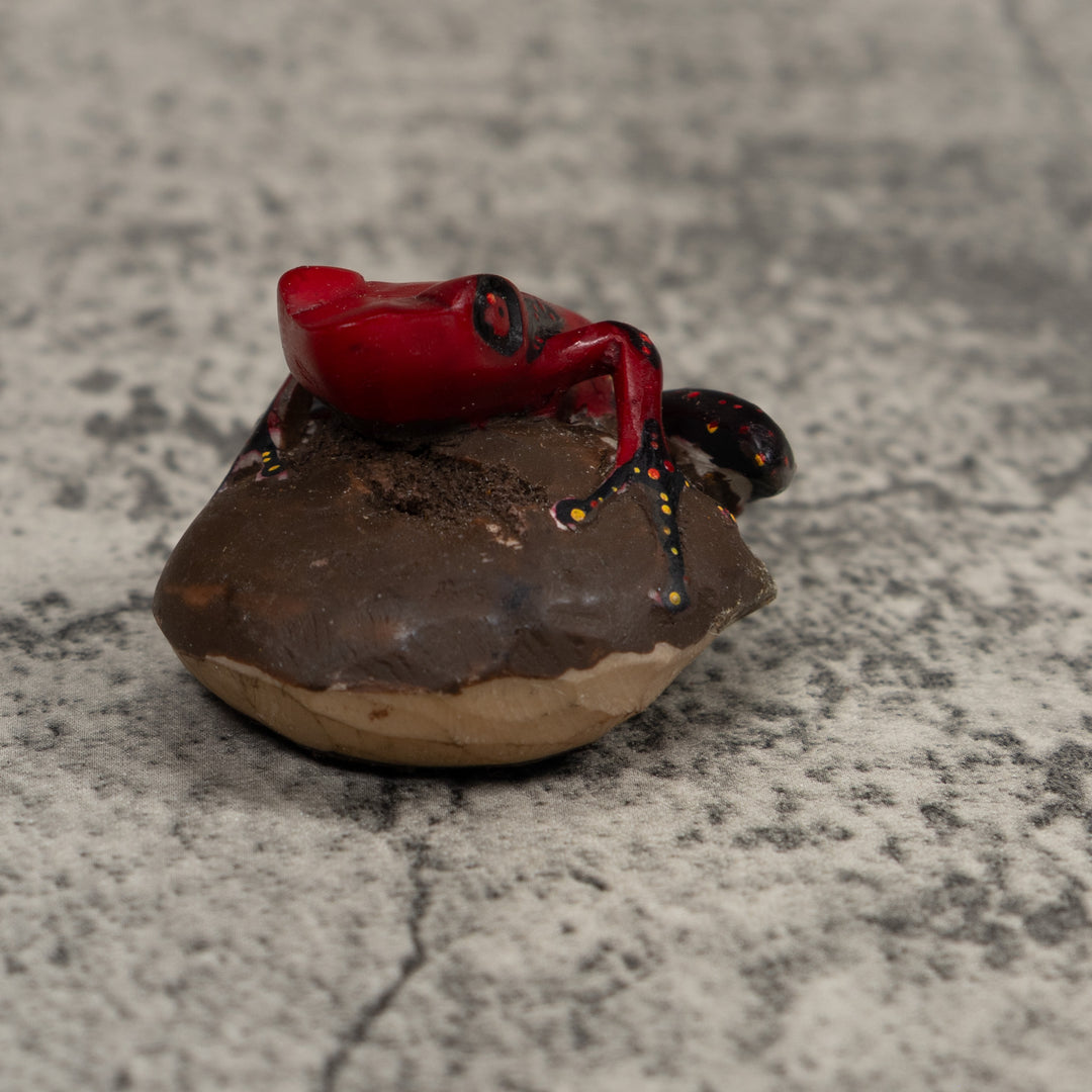 Poison Dart Frog Tagua Carving