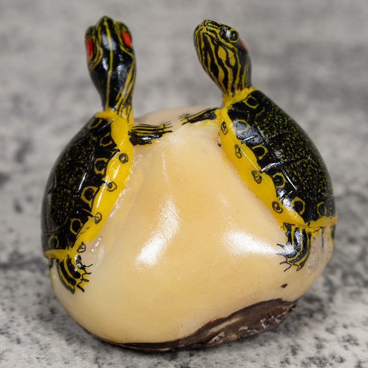 Double (2) Tortoise Turtle Tagua Carving