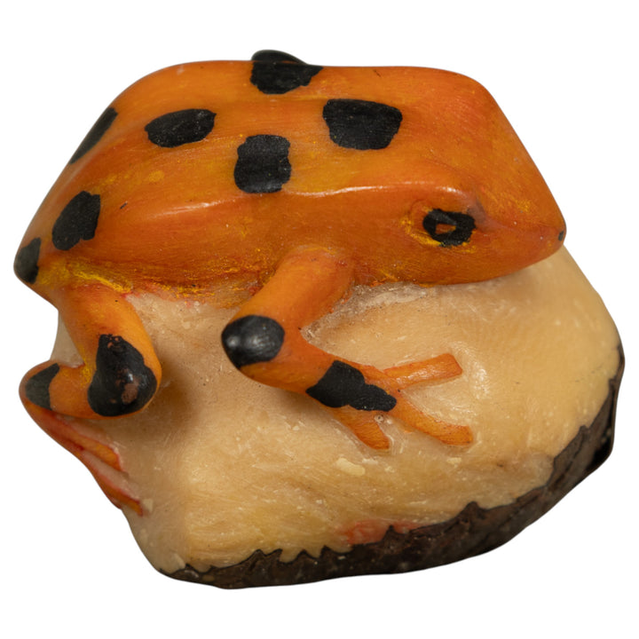 Vintage Gold And Black Frog Tagua Carving