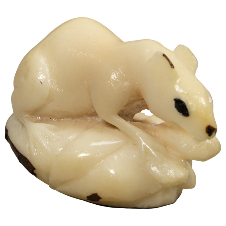 White Natural Negue Agouti Tagua Carving
