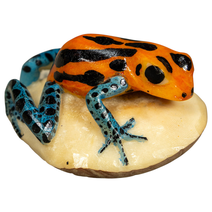 Blue Orange And Black Poison Dart Frog Tagua Carving