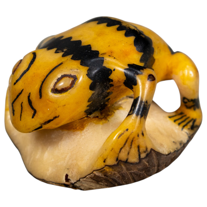 Vintage Black And Gold Poison Dart Frog Tagua Carving
