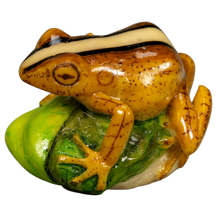 Brown Beige And Black Rainforest Frog Tagua Carving
