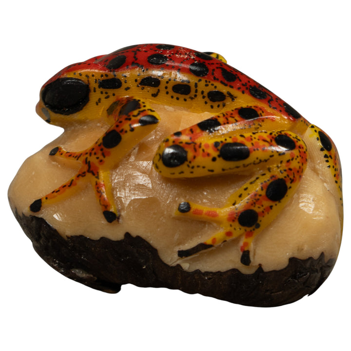 Vintage Poison Dart Frog Tagua Carving