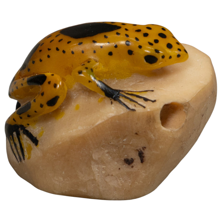 Vintage Gold spotted Frog Tagua Carving