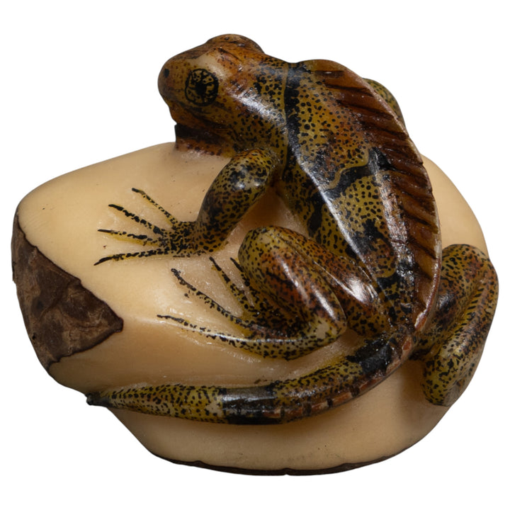 Brown And Black Iguana Lizard Tagua Carving