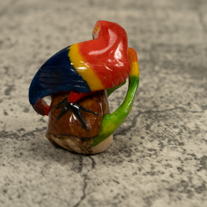 Macaw Parrot Bird Tagua Carving