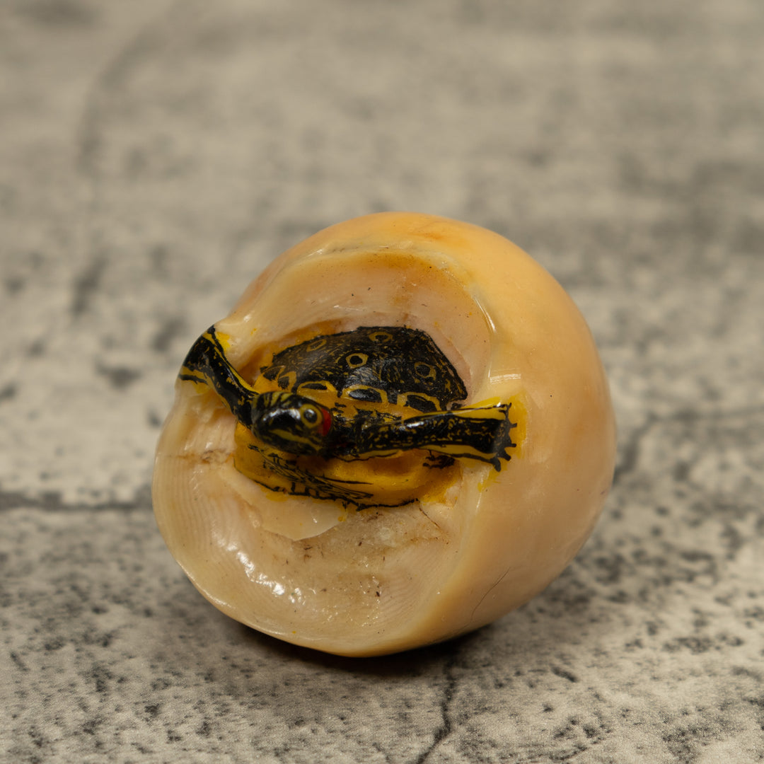 Turtle And Egg Tagua Carving