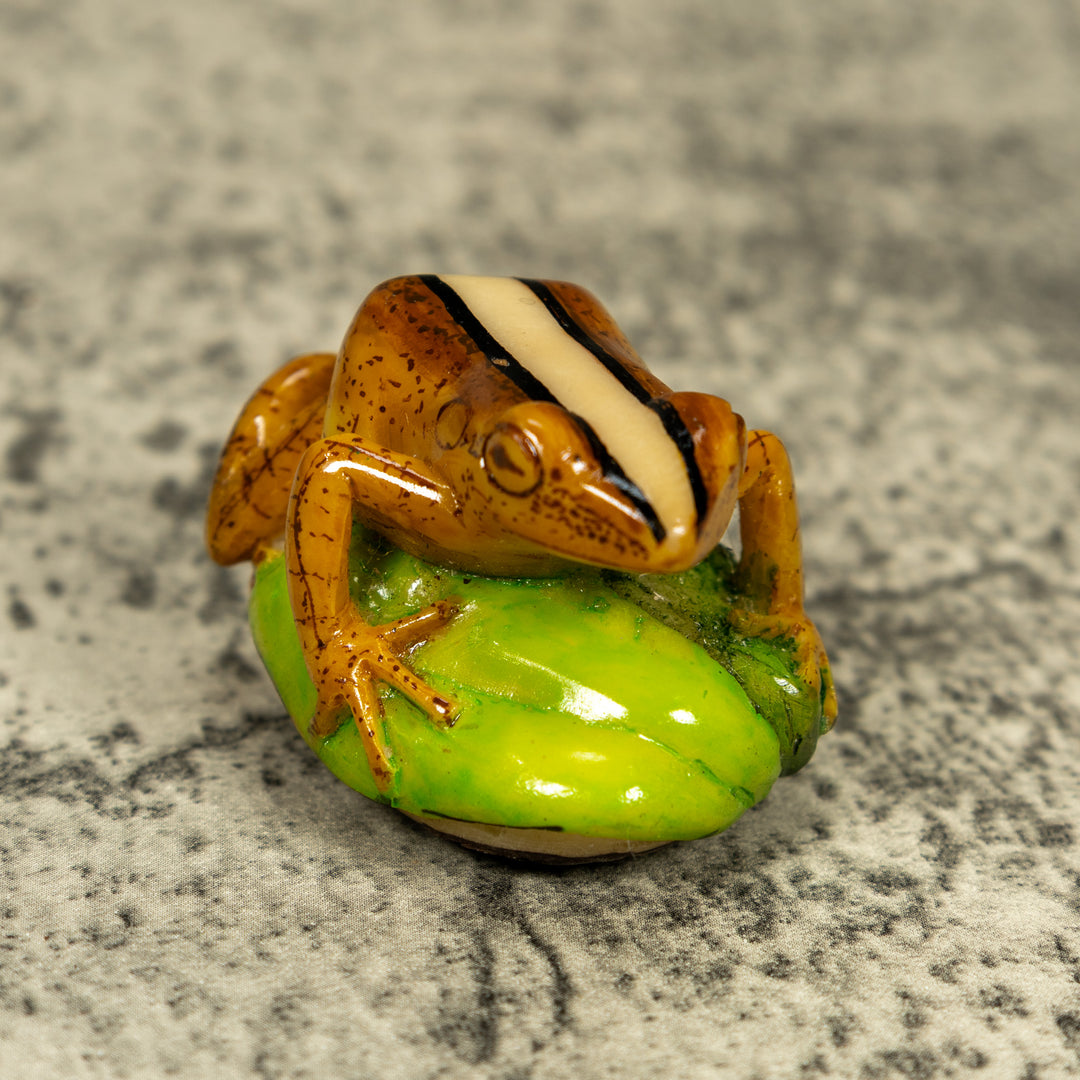 Brown Beige And Black Rainforest Frog Tagua Carving