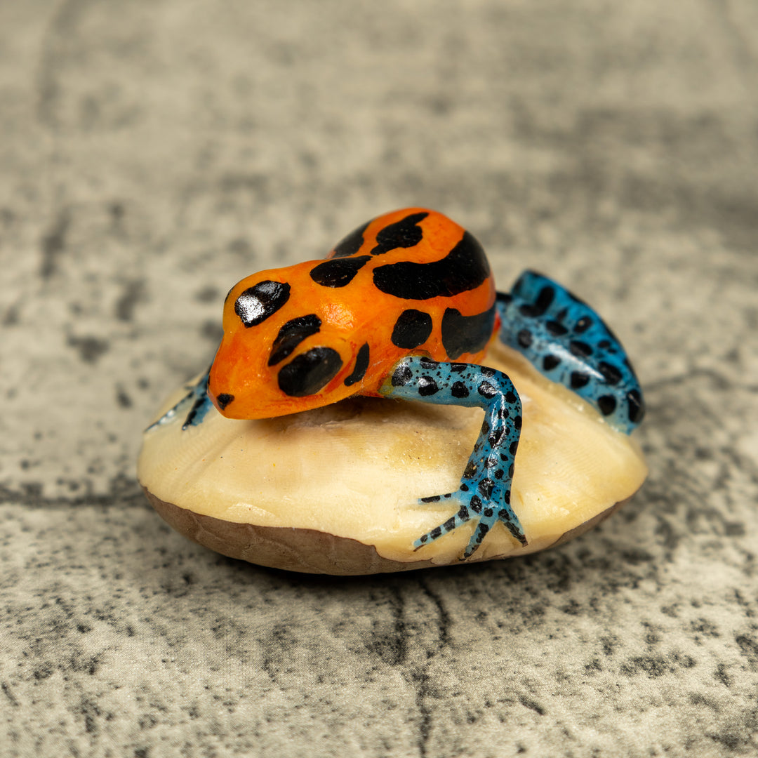 Blue Orange And Black Poison Dart Frog Tagua Carving