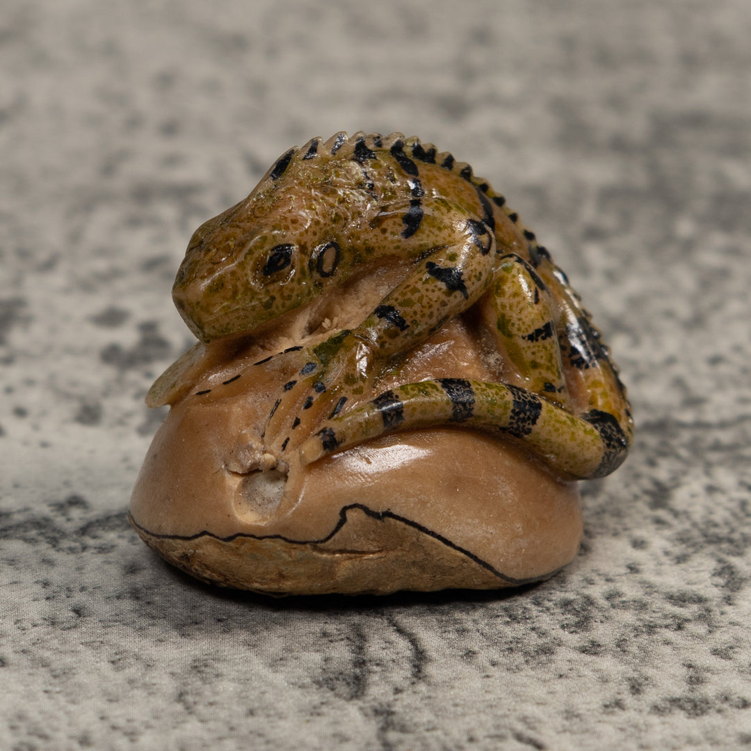Vintage Brown And Black Iguana Tagua Carving