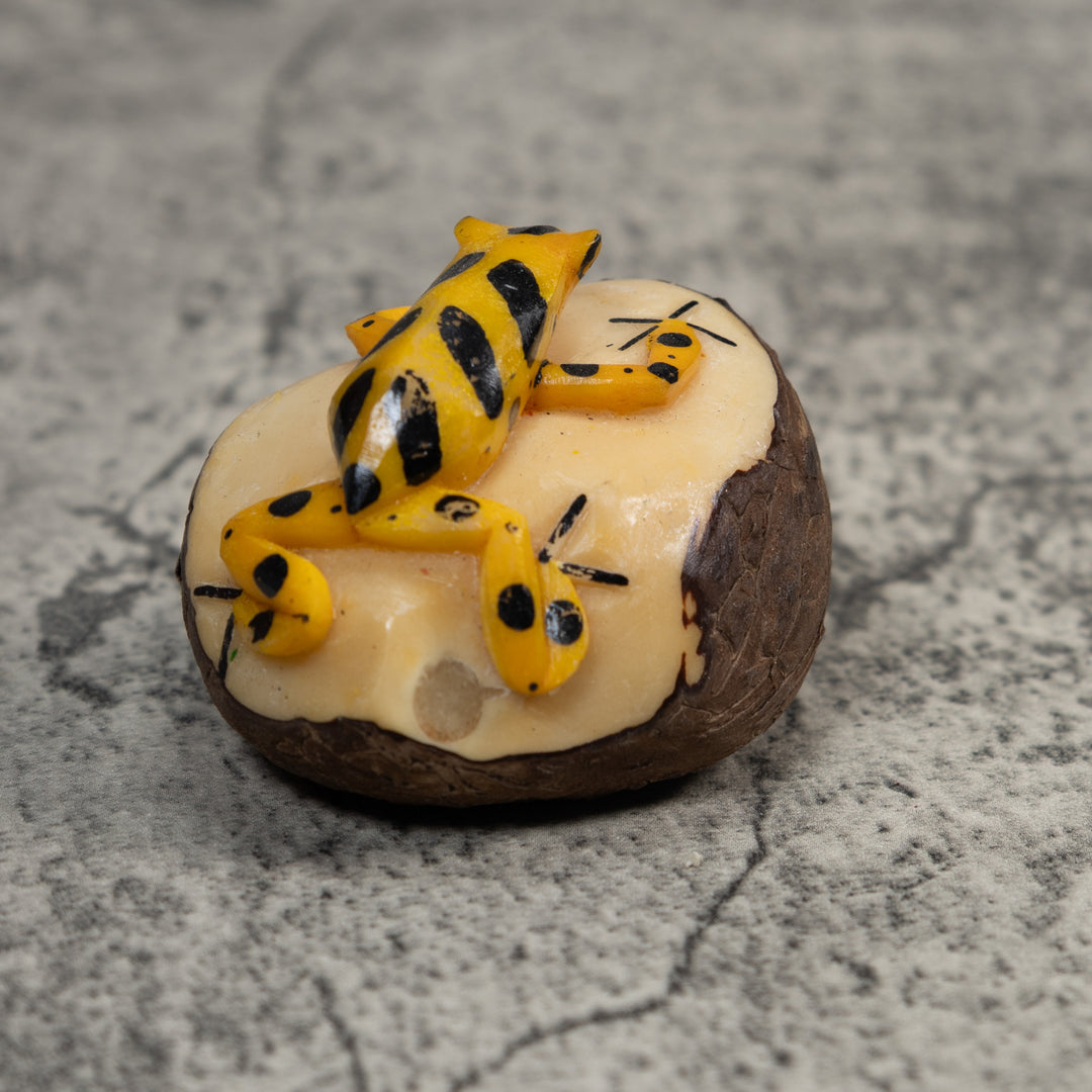 Black And Gold Poison Dart Frog Tagua Carving