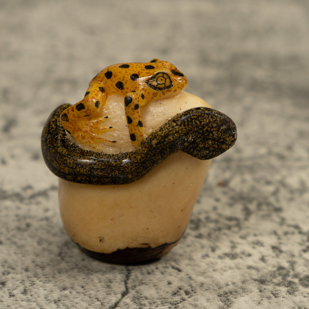 Golden Frog And Snake Tagua Carving
