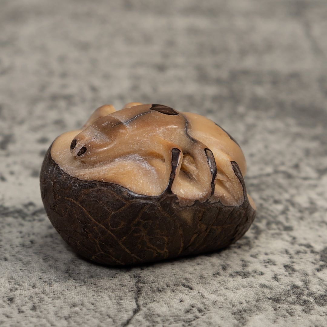 Vintage Natural White With Shuck Insect Carving