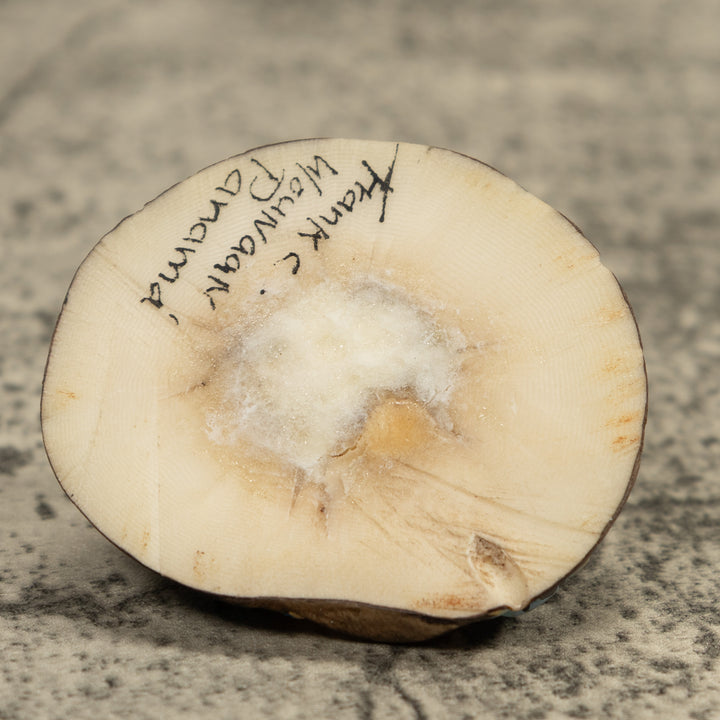 Triple Poison Dart Frog Tagua Carving