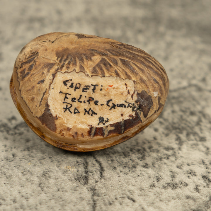 Vintage Poison Dart Frog Under Leaf Tagua Carving