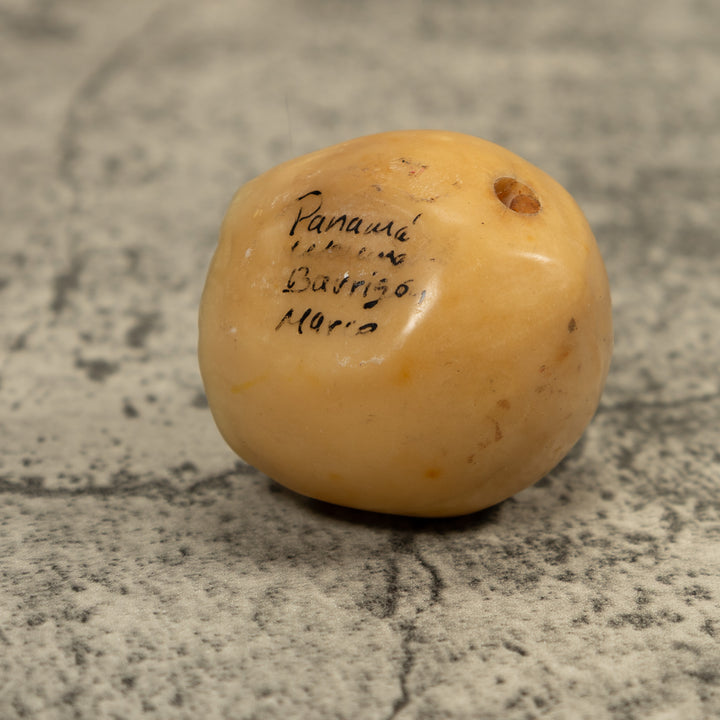 Turtle And Egg Tagua Carving