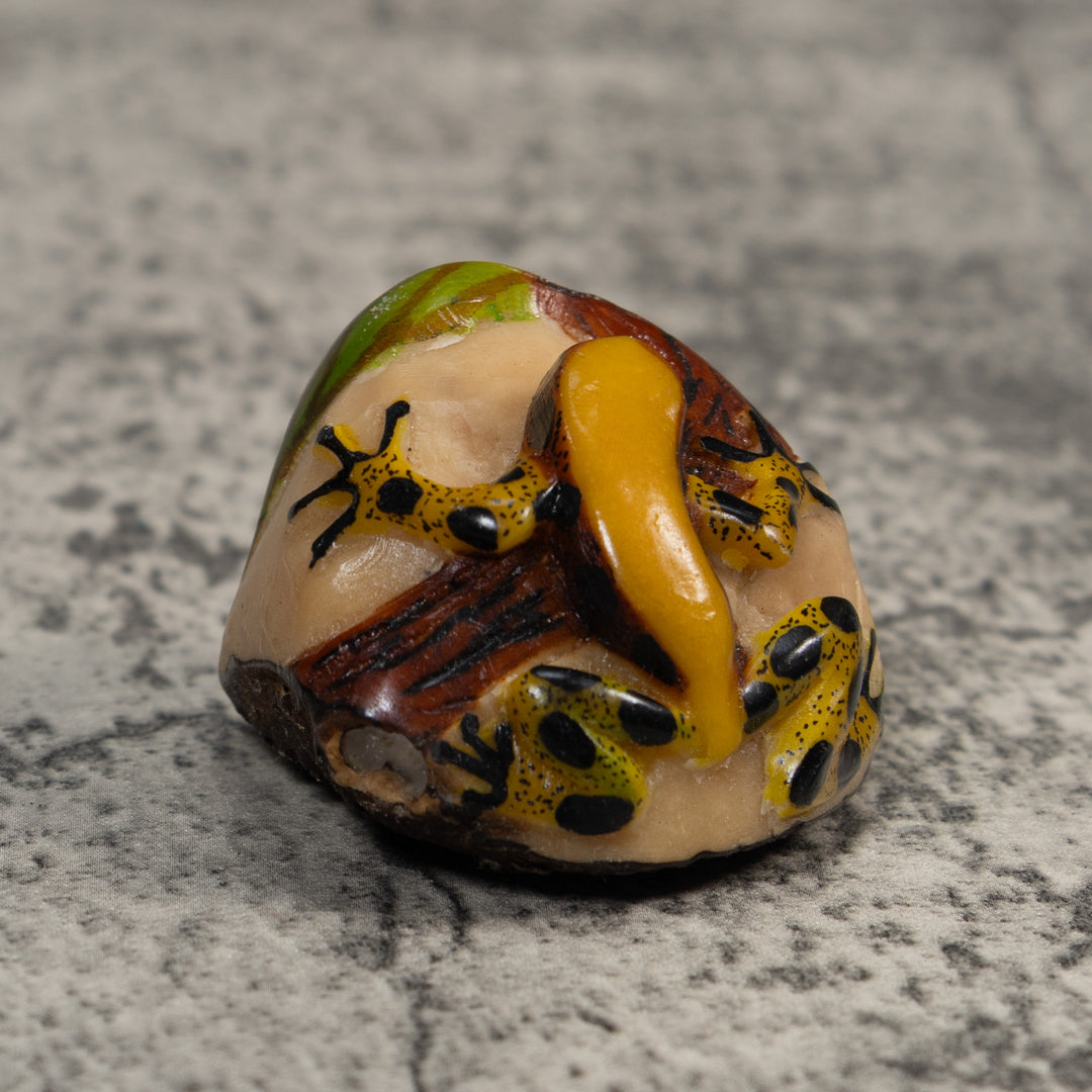 Yellow Green And Black Jungle Frog Tagua Carving