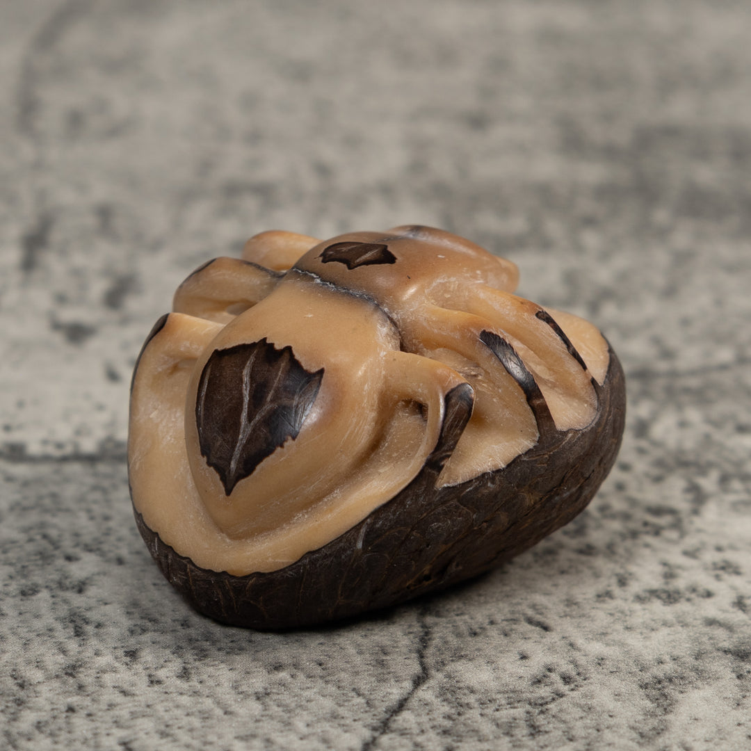 Vintage Natural White With Shuck Insect Carving