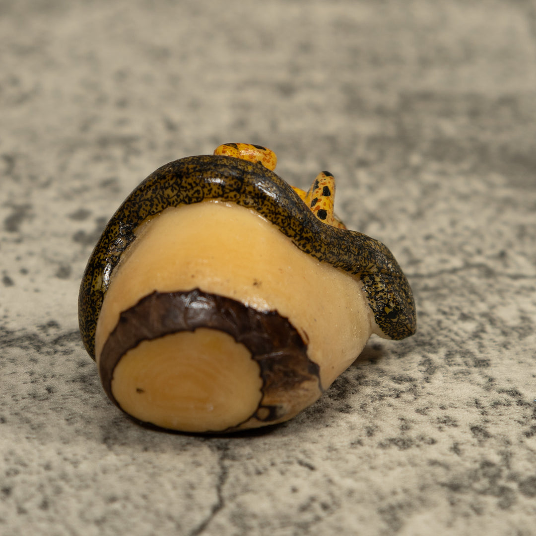 Golden Frog And Snake Tagua Carving