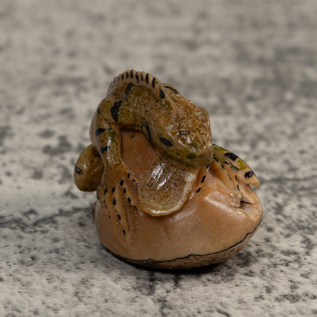 Vintage Brown And Black Iguana Tagua Carving