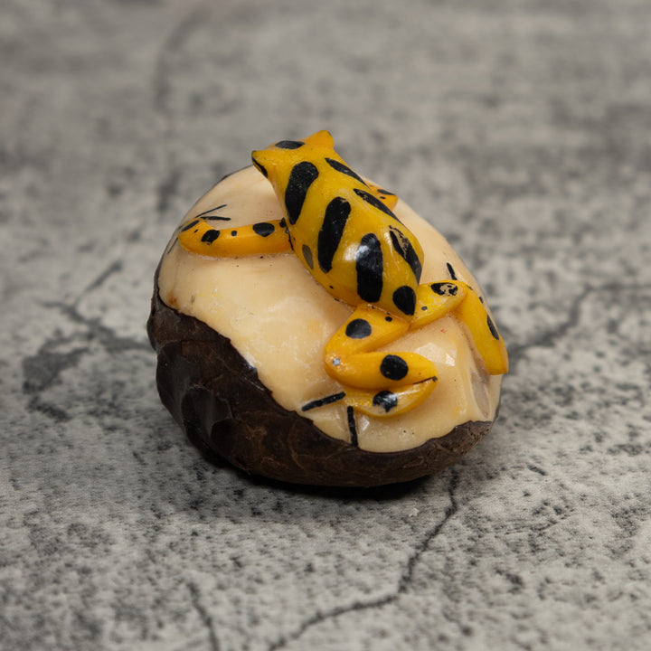 Black And Gold Poison Dart Frog Tagua Carving