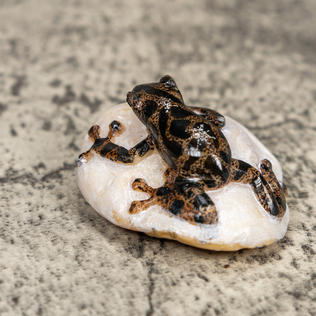 Black And Gold Poison Dart Frog Tagua Carving