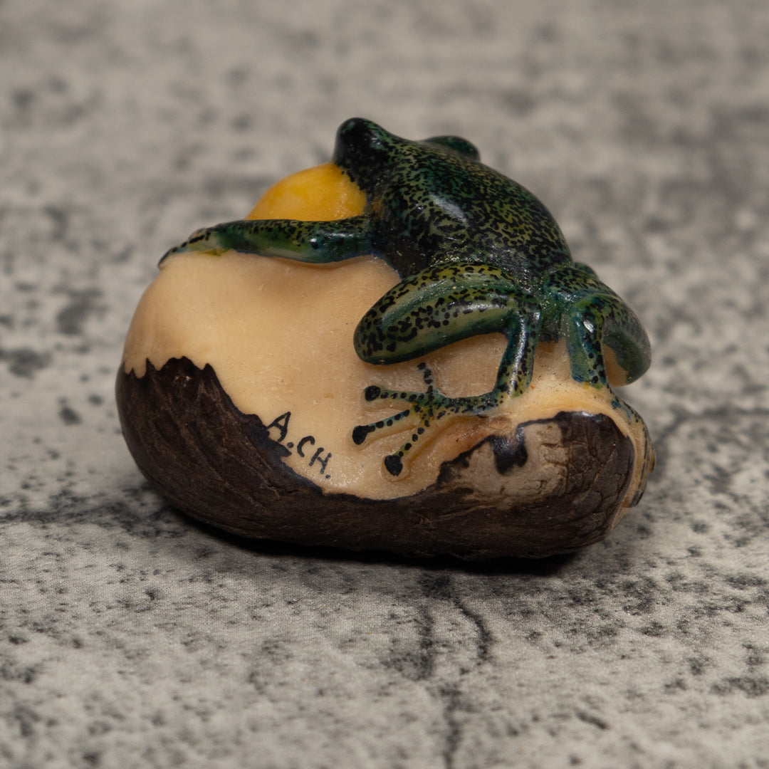 Vintage Green And Yellow Blowthroat Frog Tagua Carving