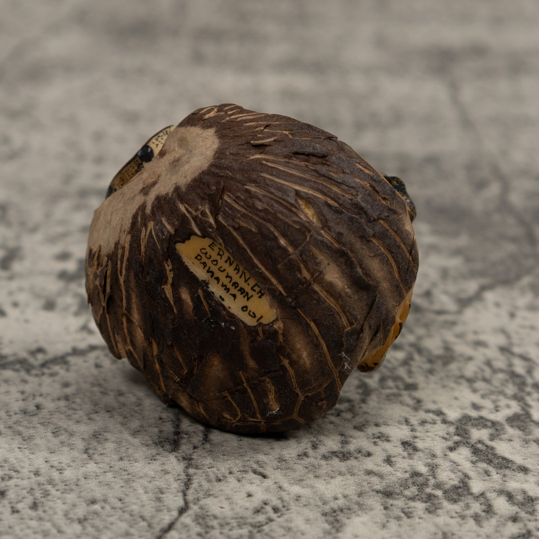 Double Iguana Tagua Carving