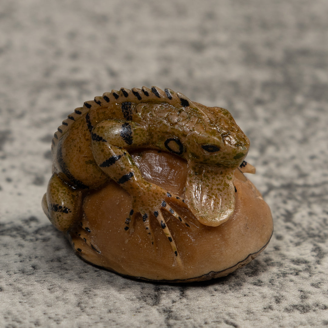 Vintage Brown And Black Iguana Tagua Carving