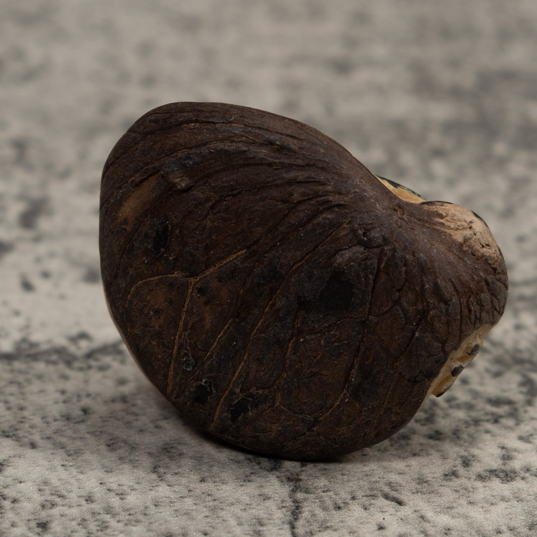 Vintage Green And Yellow Blowthroat Frog Tagua Carving