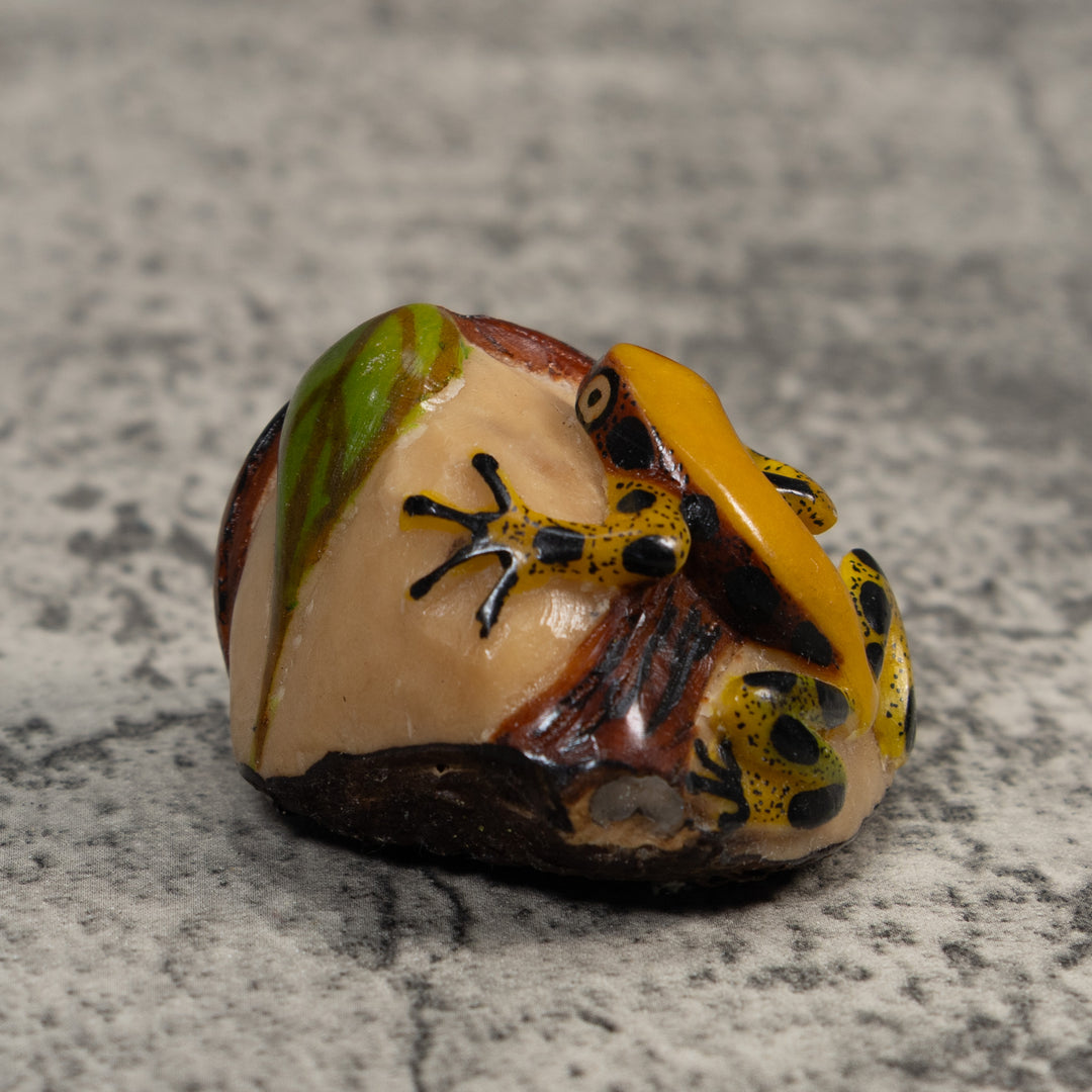 Yellow Green And Black Jungle Frog Tagua Carving