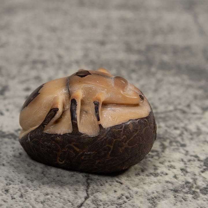 Vintage Natural White With Shuck Insect Carving