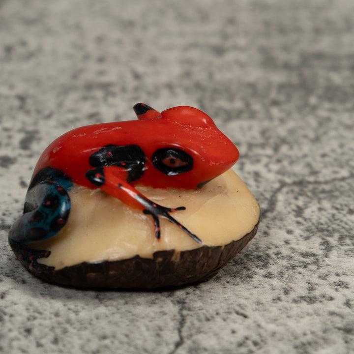 Vintage Red And Blue Poison Dart Frog Tagua Carving