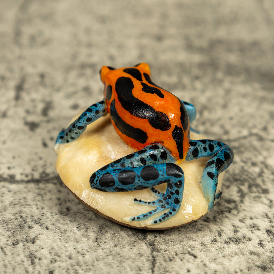 Blue Orange And Black Poison Dart Frog Tagua Carving
