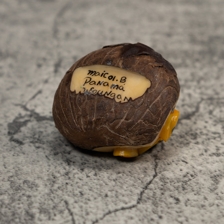 Black And Gold Poison Dart Frog Tagua Carving