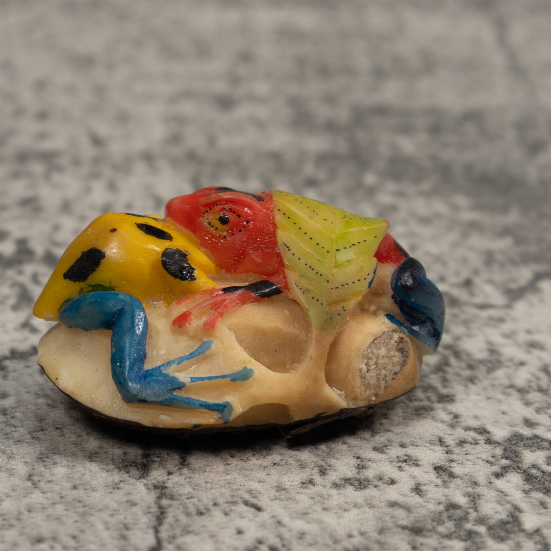 Double Red Blue And Gold Poison Dart Frog Tagua Carving
