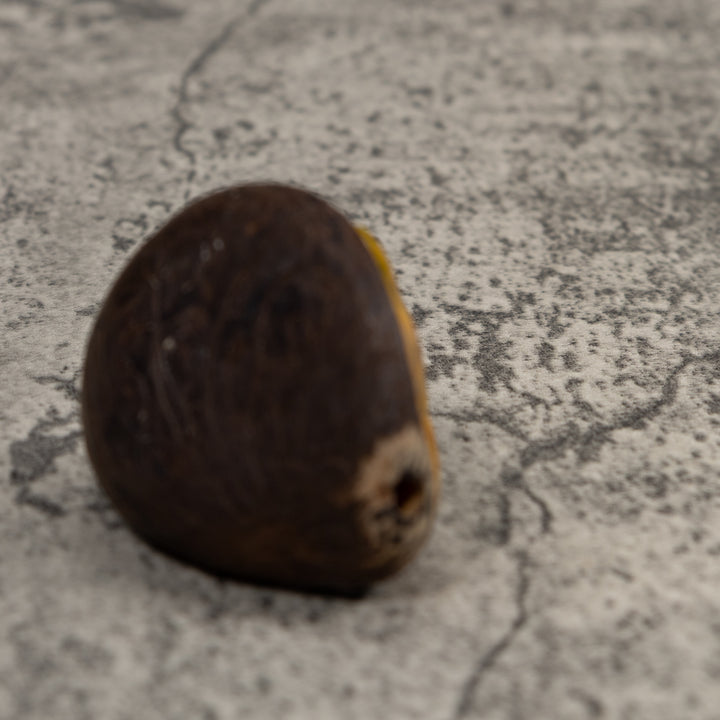 Vintage Golden Frog Tagua Carving