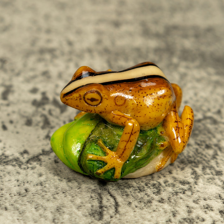 Brown Beige And Black Rainforest Frog Tagua Carving