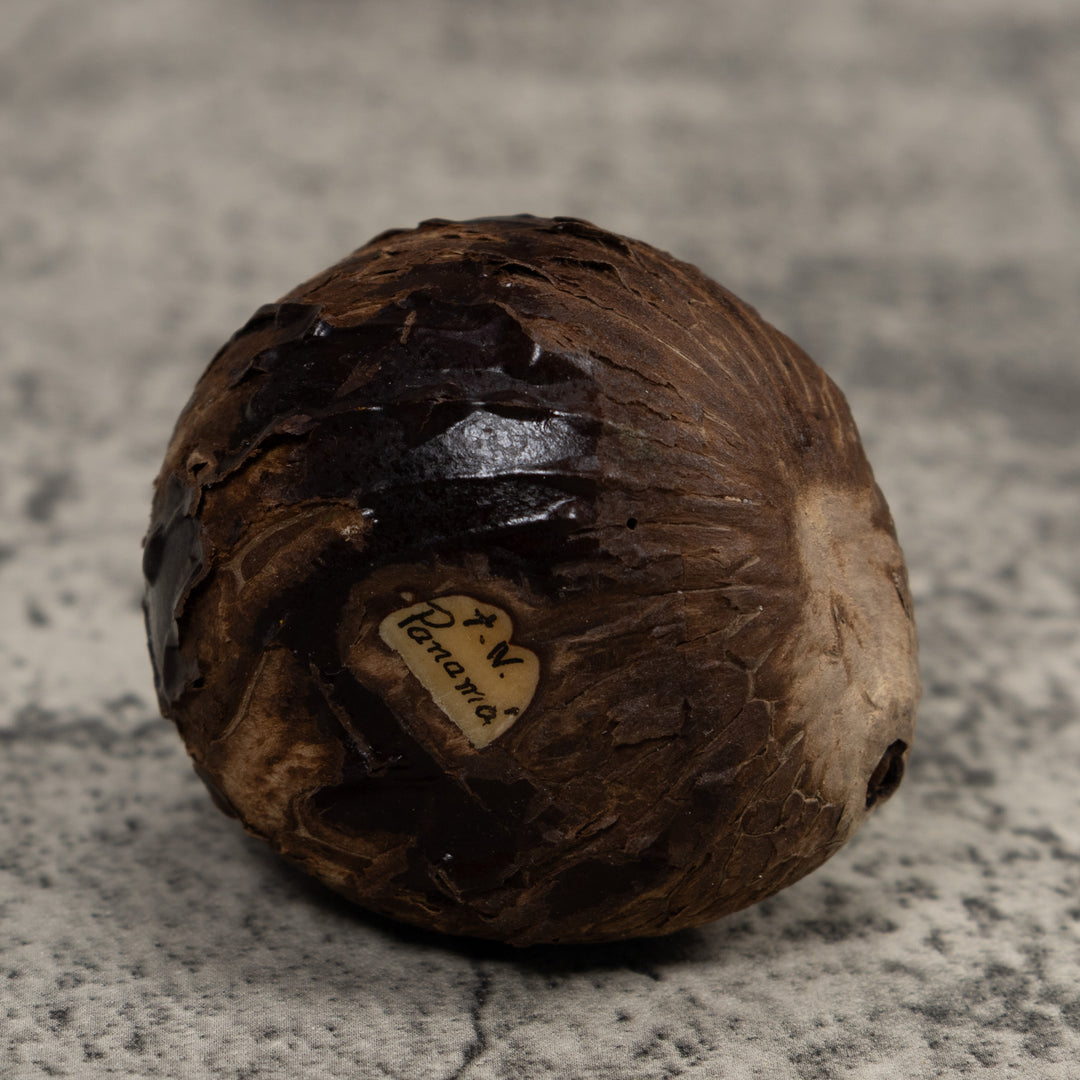 Poison Dart Frog Tagua Carving