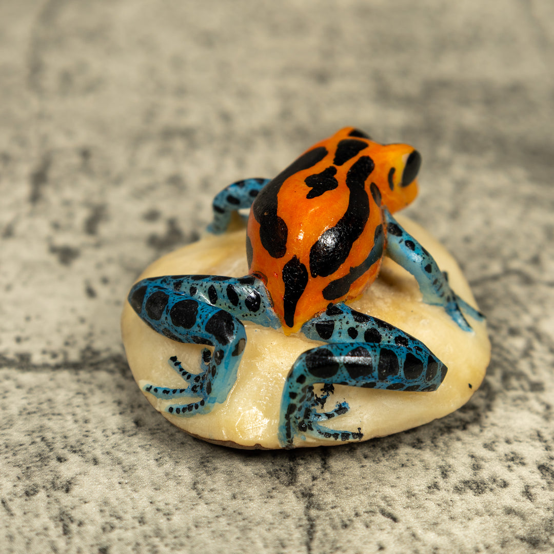Blue Orange And Black Poison Dart Frog Tagua Carving