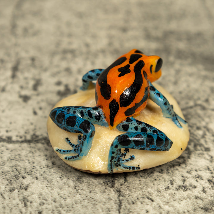 Blue Orange And Black Poison Dart Frog Tagua Carving